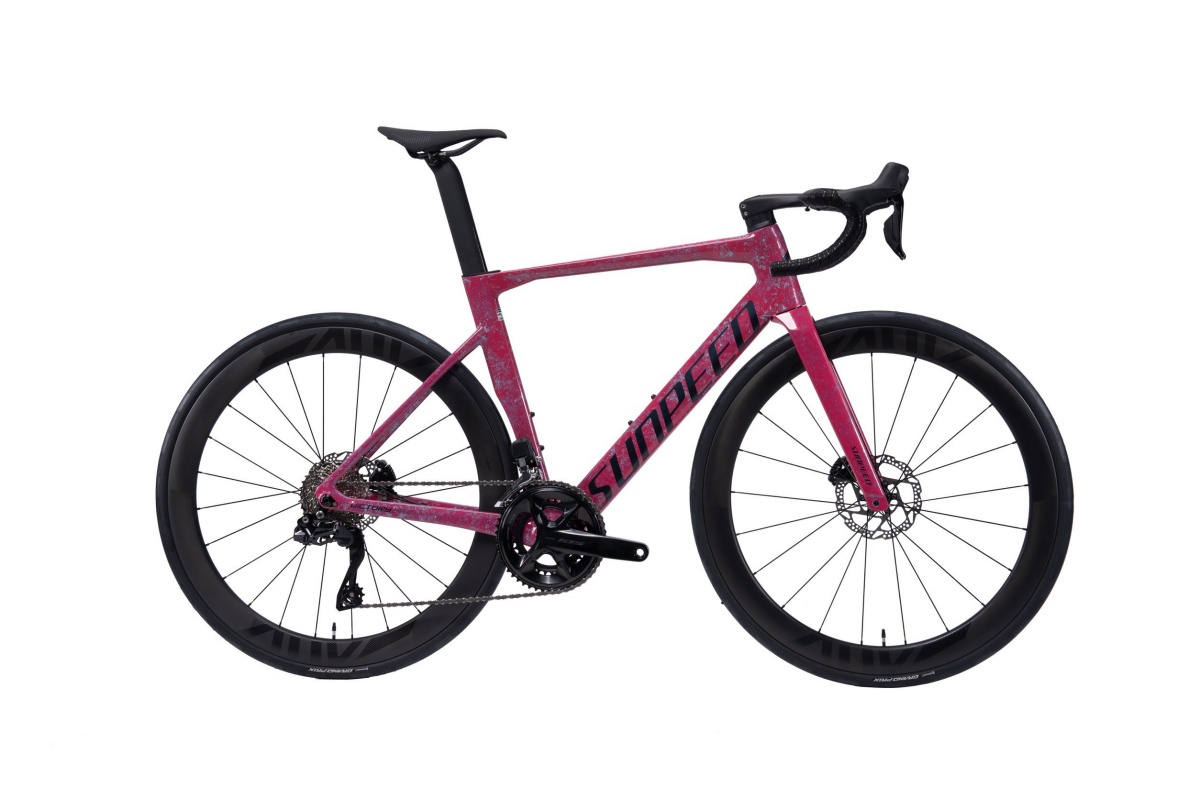 SUNPEED 碳纖維公路車24速UT Di2 勝利專業版PRO